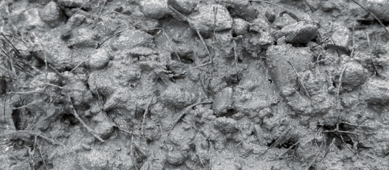 Frisch eingebracht: Fasern, die später zur Rissminimierung im Beton beitragen.