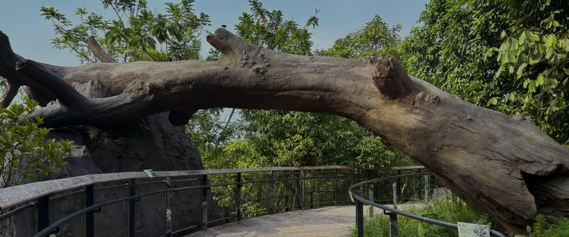 Blick auf einen unechten Baum im Zoo
