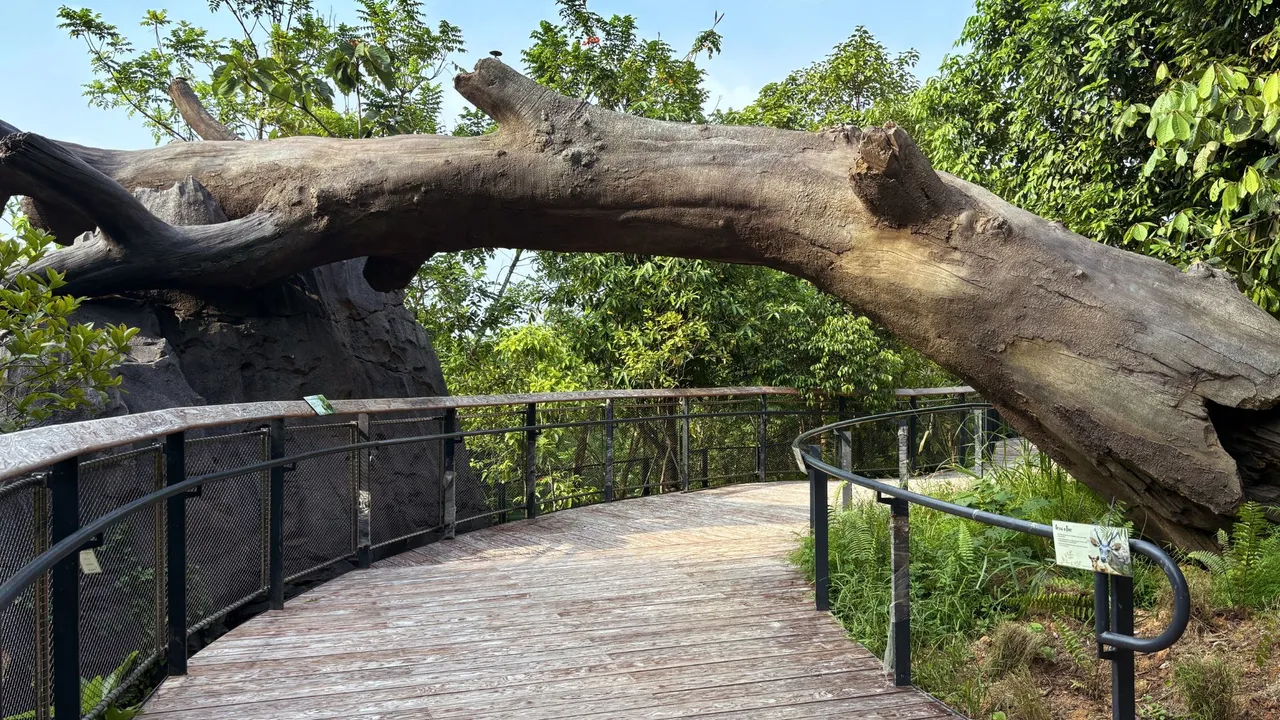 Blick auf einen scheinbar umgestürzten Baum, der aber mit MC-RockMortar erschaffen wurde