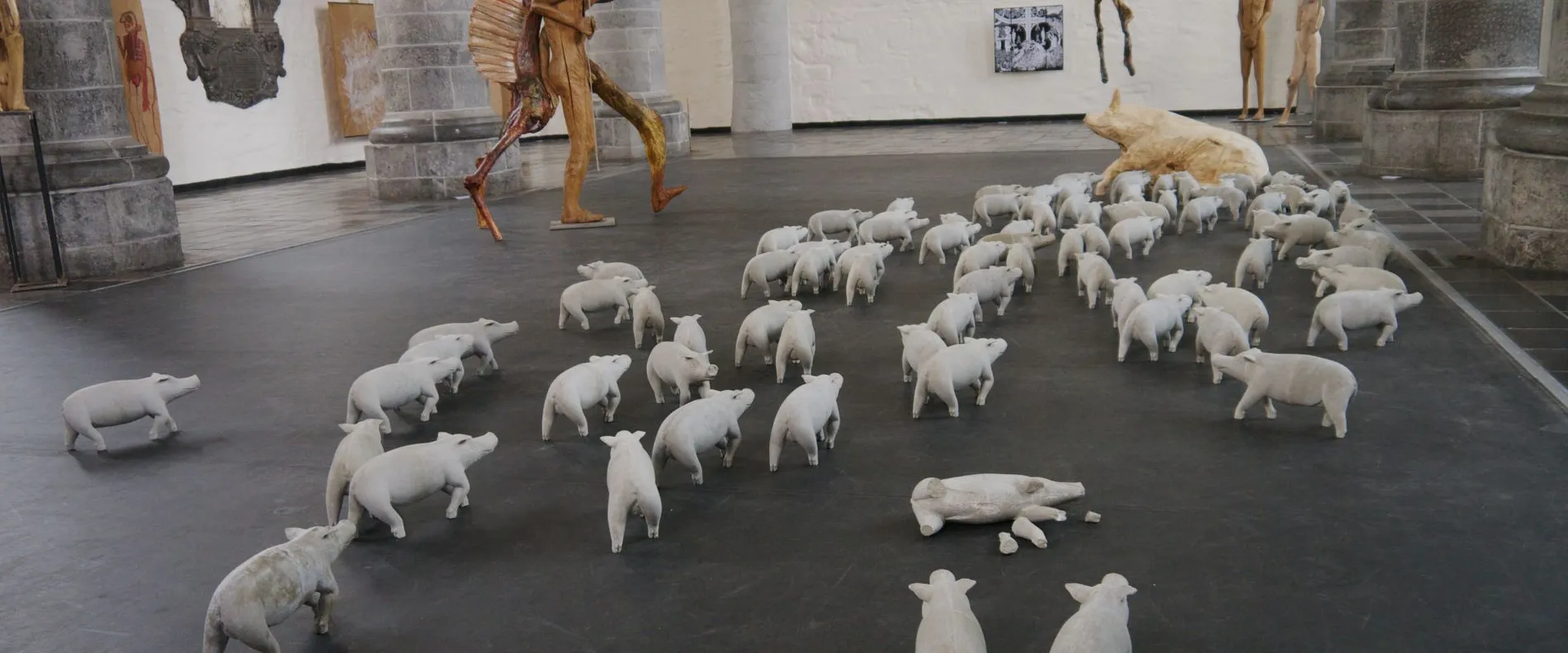 Brele Scholz' piglets in the Aula Carolina arts centre in Aachen in summer 2023.