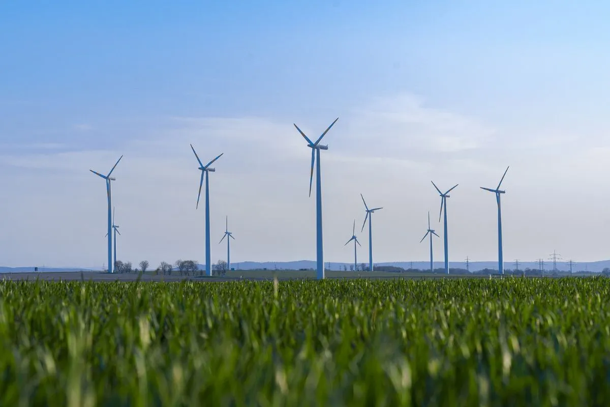 Blick auf einige Windräder.