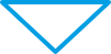 Arrow Down Icon
