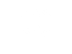 Nationale/Internationale Einsätze Icon